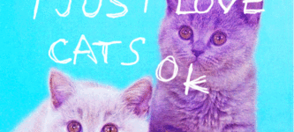 I+just+love+cats%2C+ok%3F