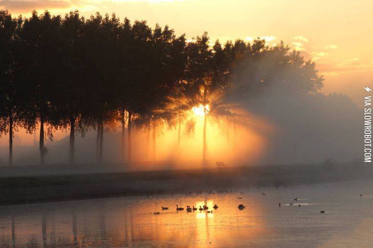 Foggy+sunrise+in+The+Netherlands
