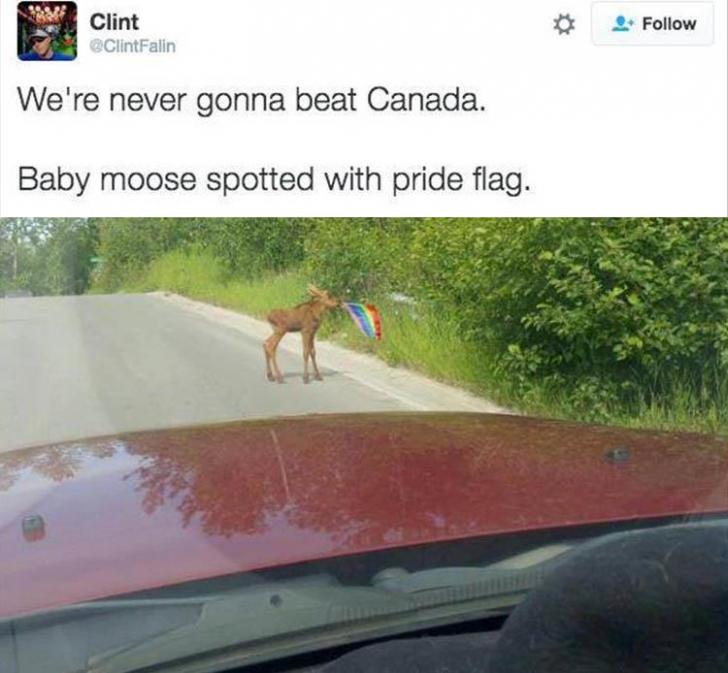 Canada+wins