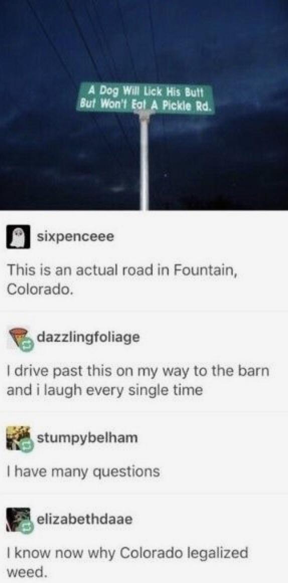 Checking+in+from+Toadsuck%2C+Arkansas