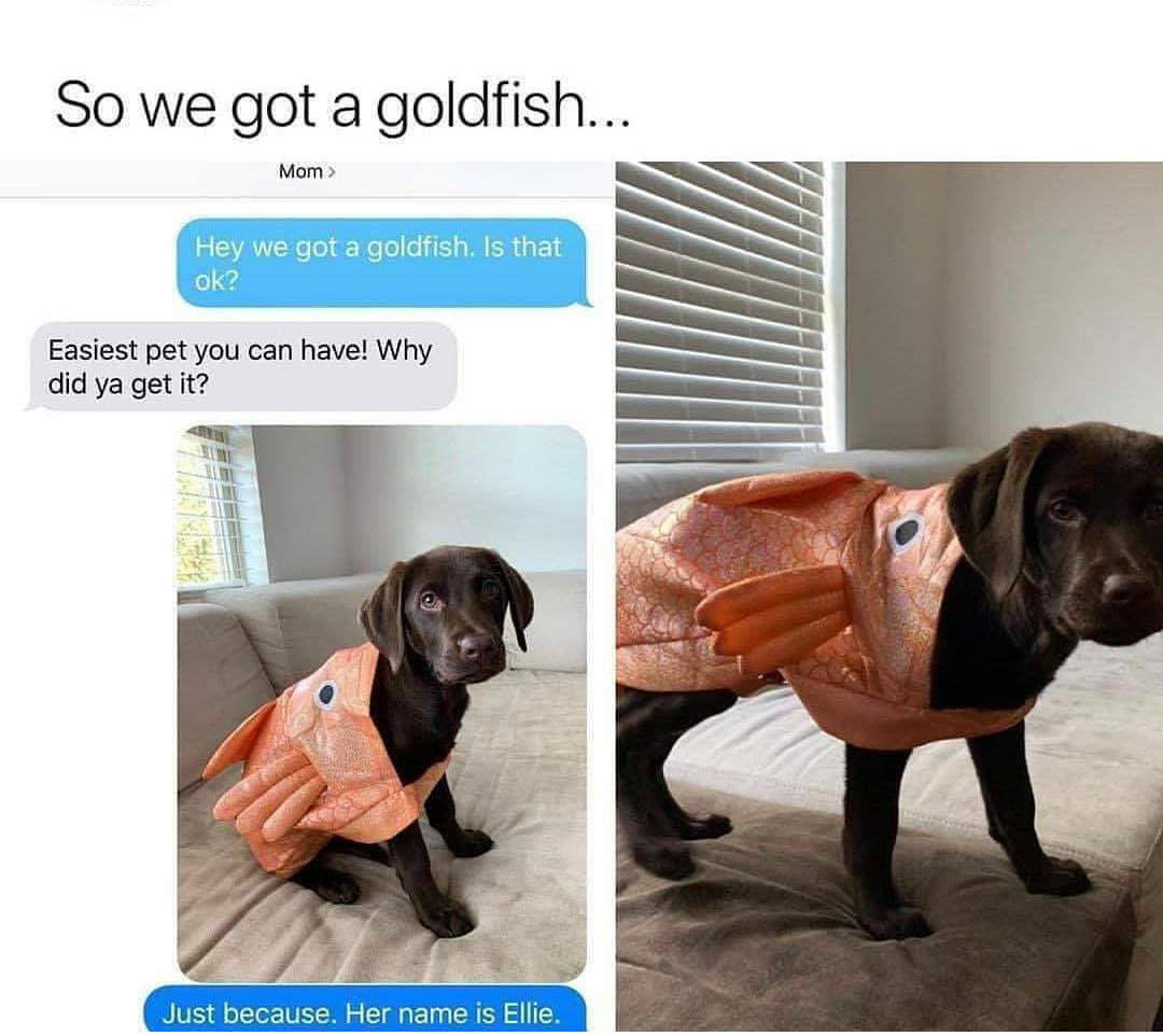 Cutest+sea+slug+I%26%238217%3Bve+ever+seen%26%238230%3B