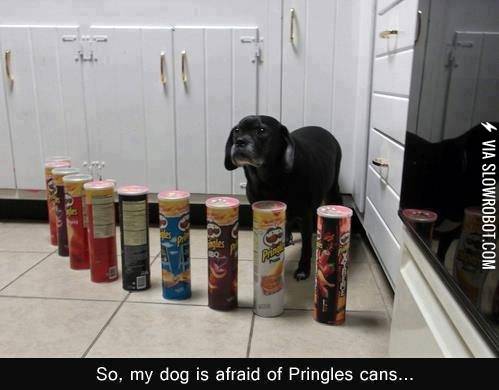 Pringles+can+be+scary