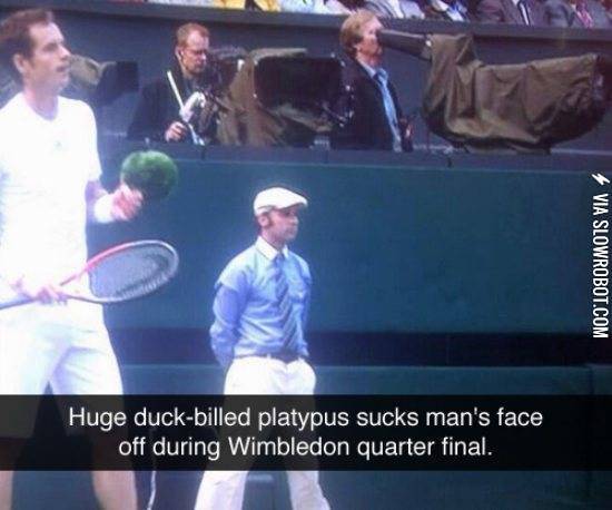 They+attack+when+you+least+expect+it%26%238230%3B