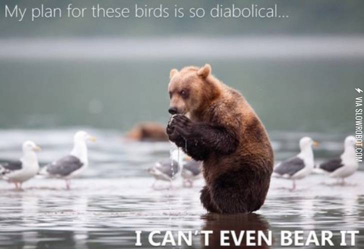 Can%26%238217%3Bt+even+Bear+it.