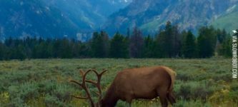 Unreal+Views+in+Teton+National+Park