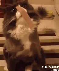 You+Have+Something+On+Your+Face