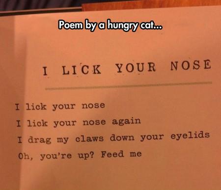 A+Hungry+Cat+Poem