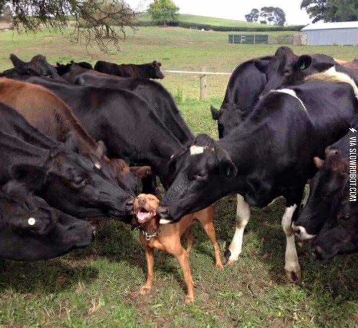 All+the+ladies+love+him