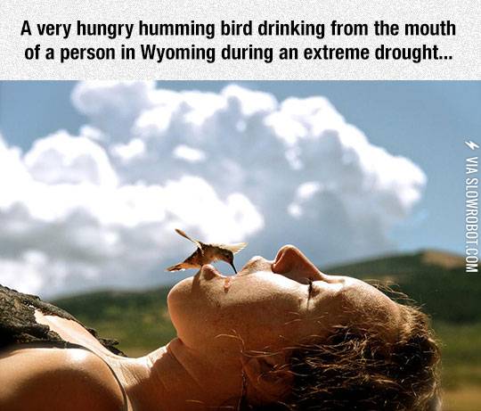 One+Of+The+Most+Beautiful+Moments+In+Nature