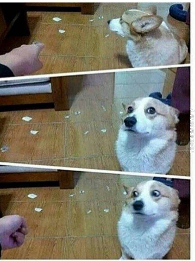 The+face+you+make+when+you+know+you%26%238217%3Bre+in+trouble.