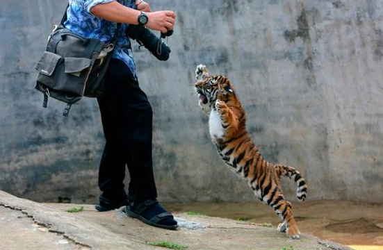 occupational+hazards