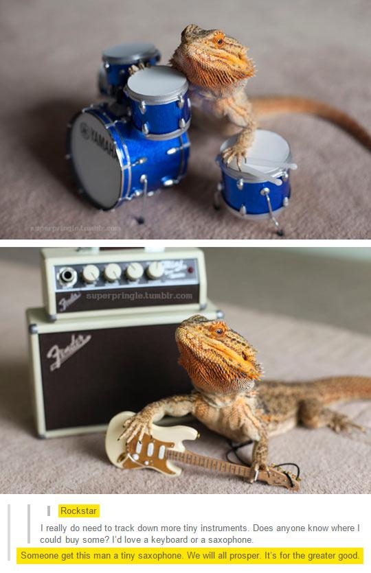 I+really+need+more+tiny+instruments.