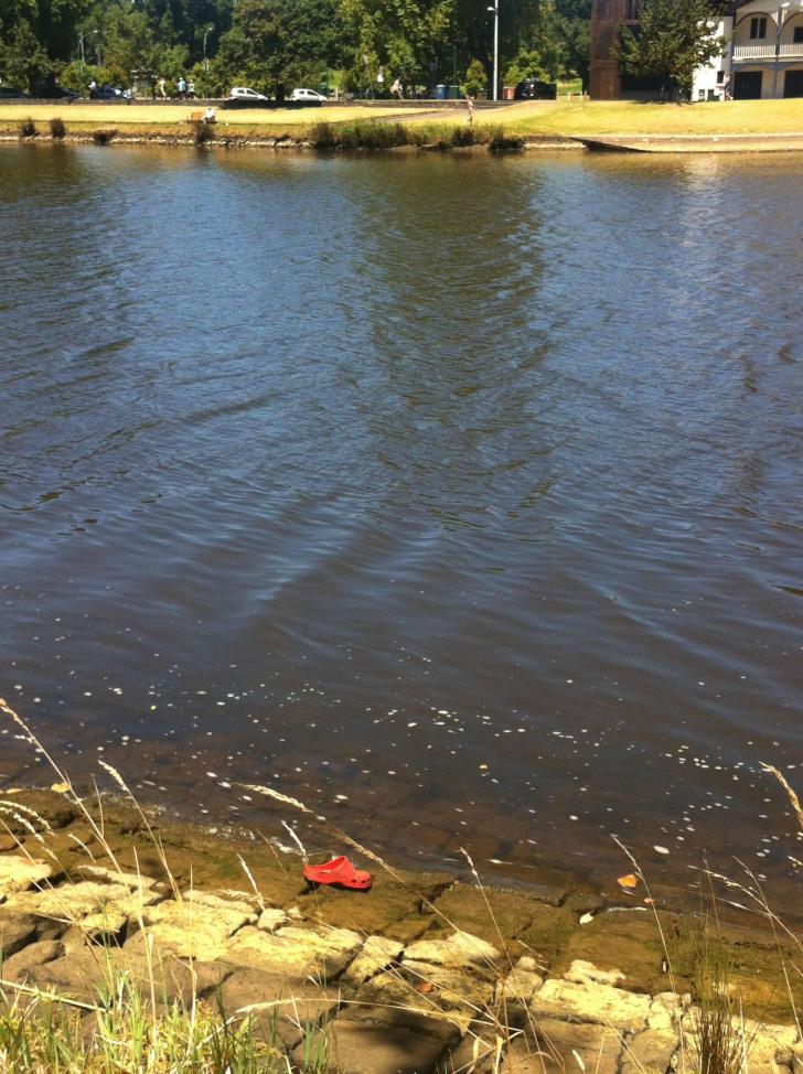 Croc+sunning+itself+on+a+river+bank
