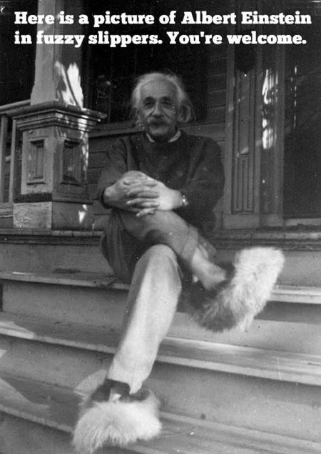 In+Case+You+Needed+To+See+Something+Unique+Today