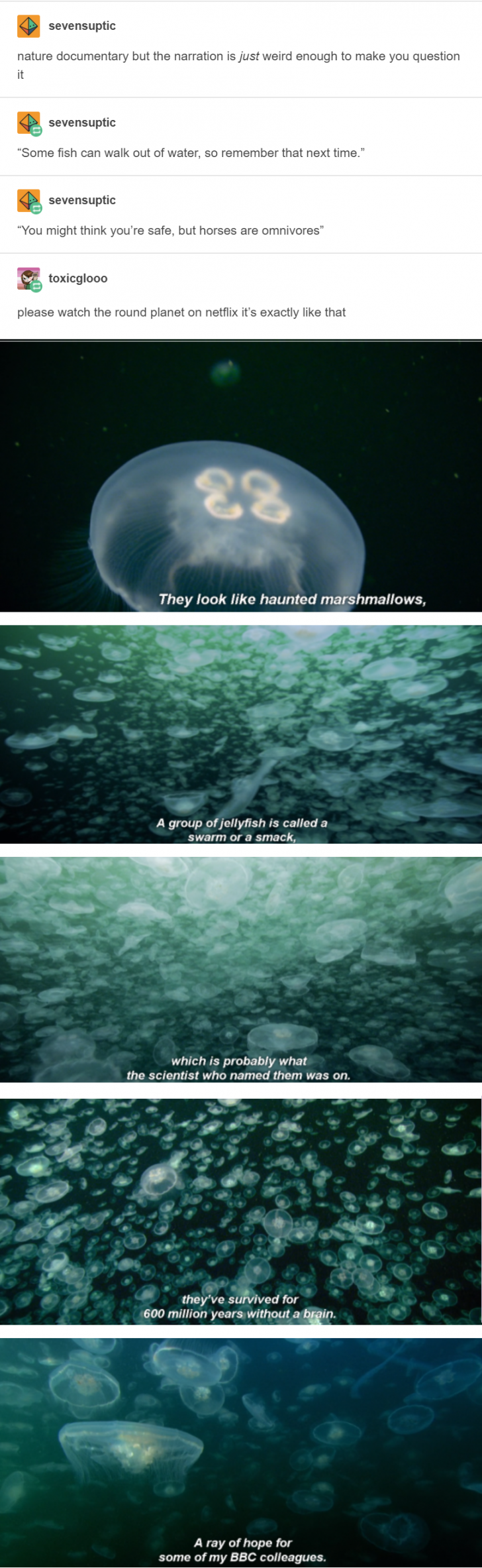 Weird+nature+documentaries