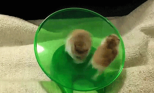 You+spin+me+right+round+baby+right+round%26%238230%3B