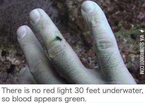 Blood+appears+green+deep+underwater