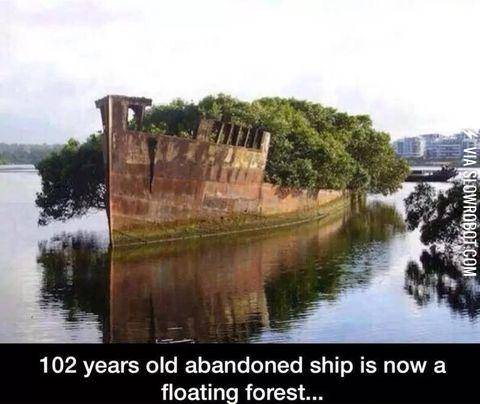 A+mini+island+made+from+a+102+years+old+abandoned+ship