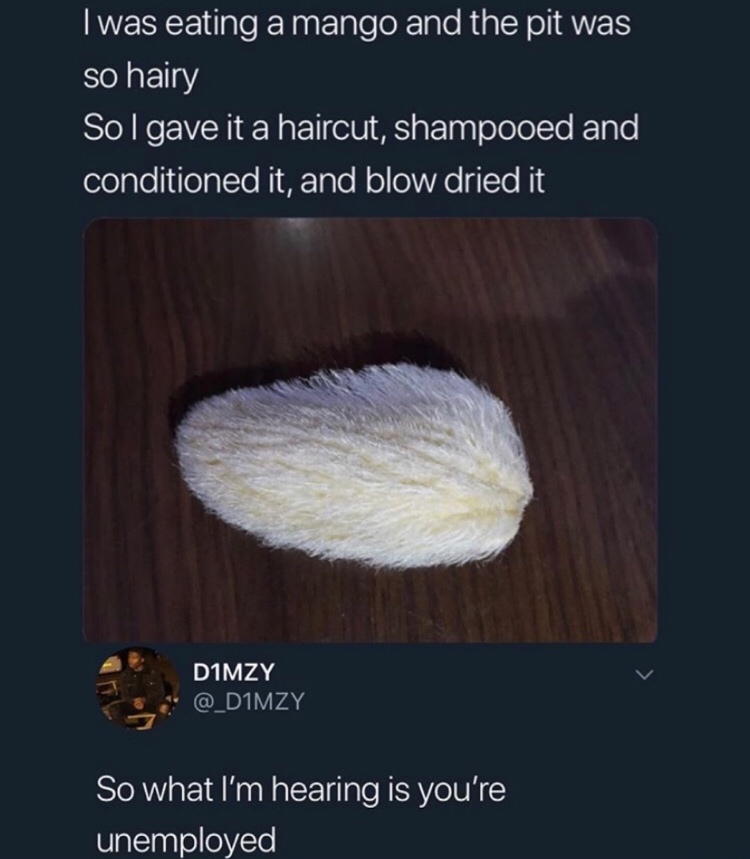 Ain%26%238217%3Bt+nobody+got+time+for+that