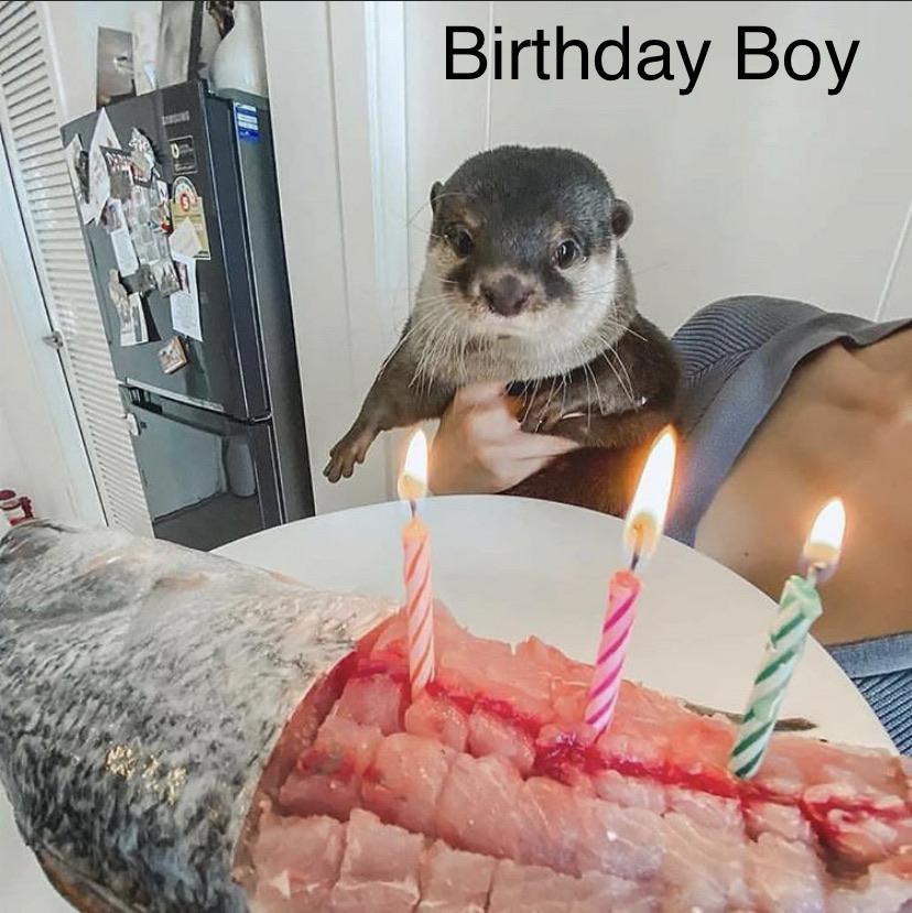 Have+a+very+fishy+birthday%2C+bud.