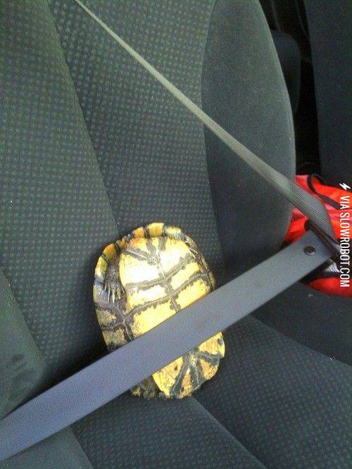 Safety+first.