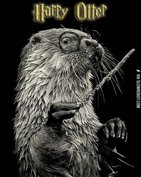 Harry+Otter.