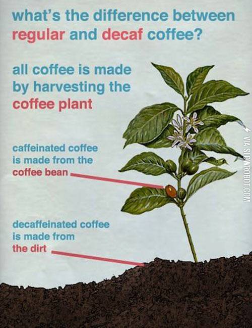 The+difference+between+regular+and+decaf+coffee.