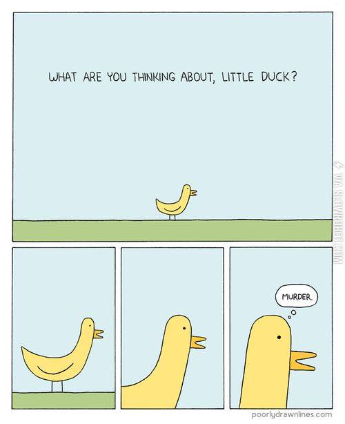 What+little+ducks+think+about.