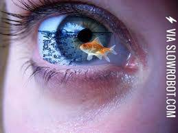 Something%26%238217%3Bs+in+my+eye%21