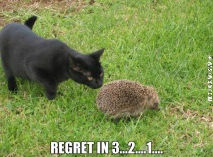 Regret+in+3%26%238230%3B2%26%238230%3B1%26%238230%3B