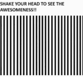 Shake+your+head+to+see+the+awesomeness%21