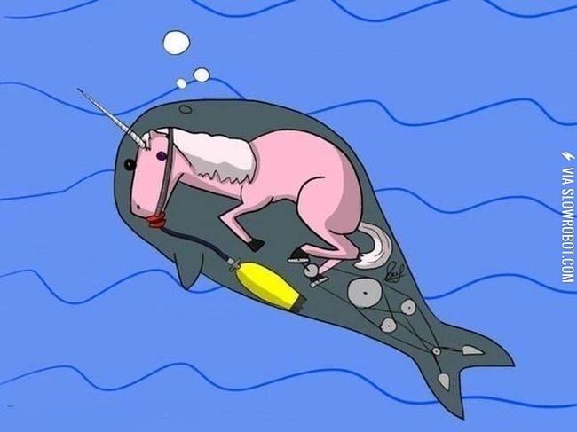 The+truth+behind+narwhals.