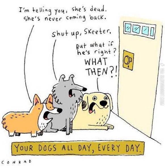 Your+dogs+all+day%2C+every+day.