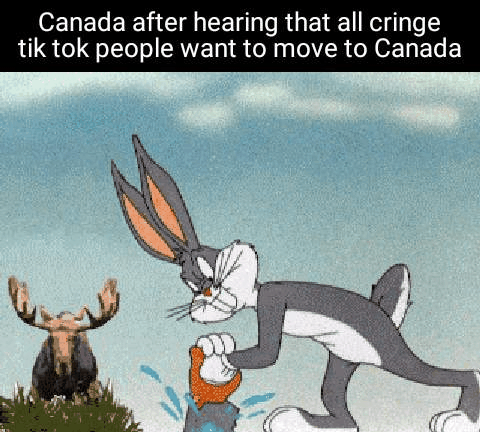 Can+I+recommend+a+wall%3F