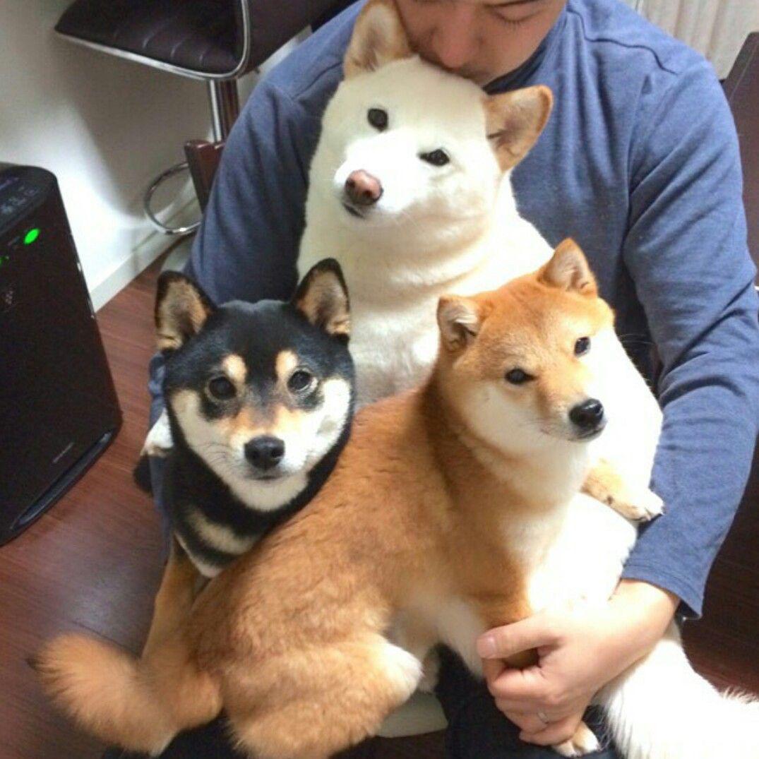 The+3+types+of+toast