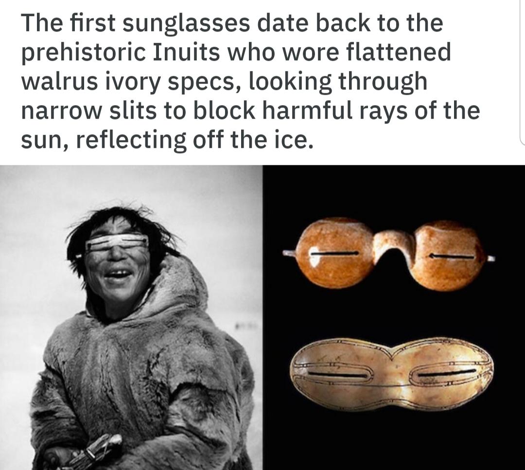 The+Arctic%26%238217%3Bs+first+sunglasses