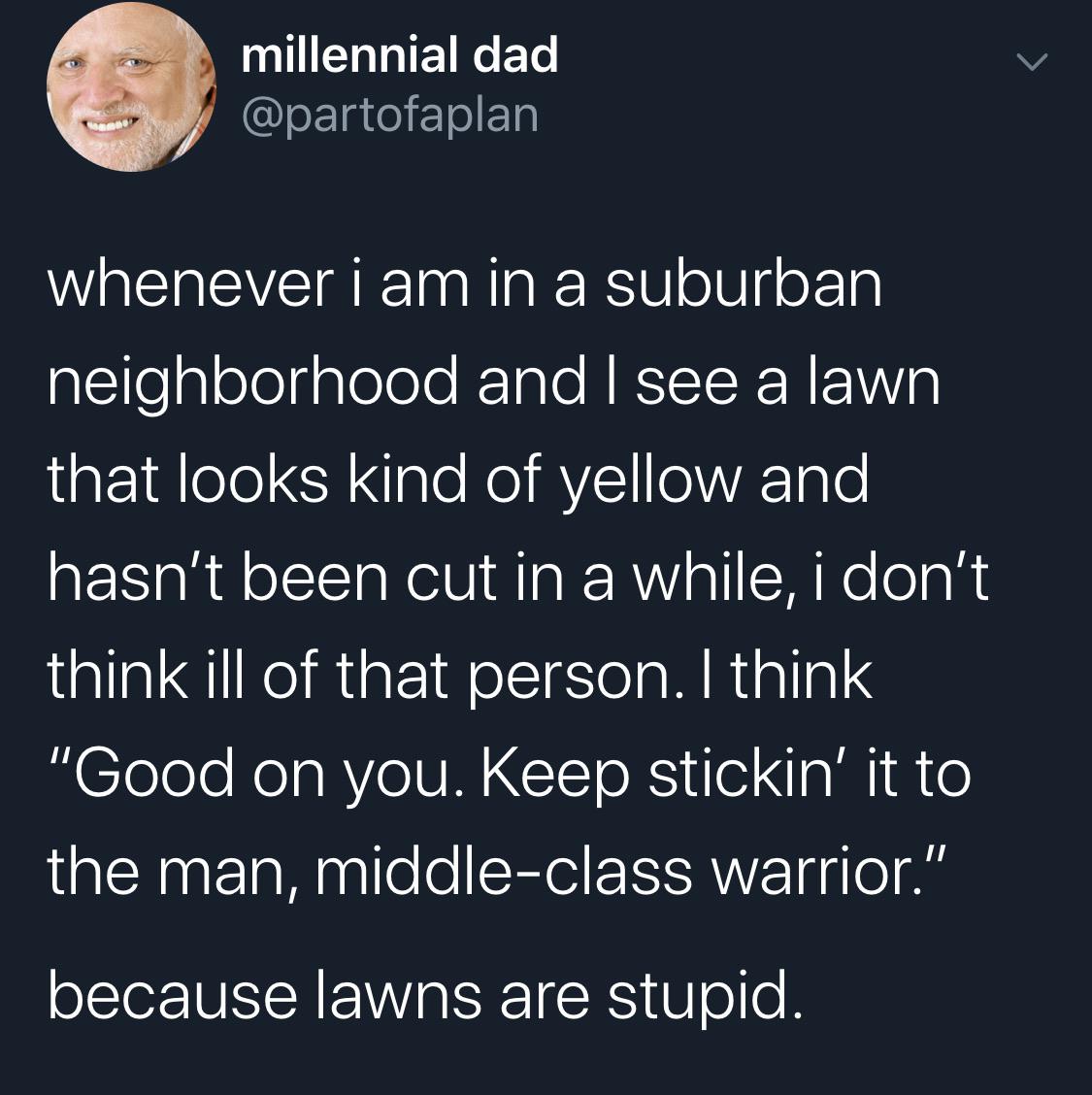A+lawn+is+a+lawn+is+a+lawn.