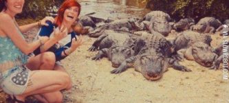 Let%26%238217%3Bs+take+a+funny+picture+in+front+of+these+deadly+crocodiles.
