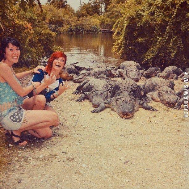 Let%26%238217%3Bs+take+a+funny+picture+in+front+of+these+deadly+crocodiles.