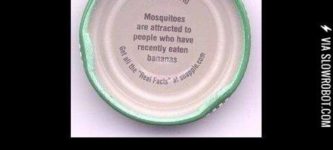Snapple+facts.