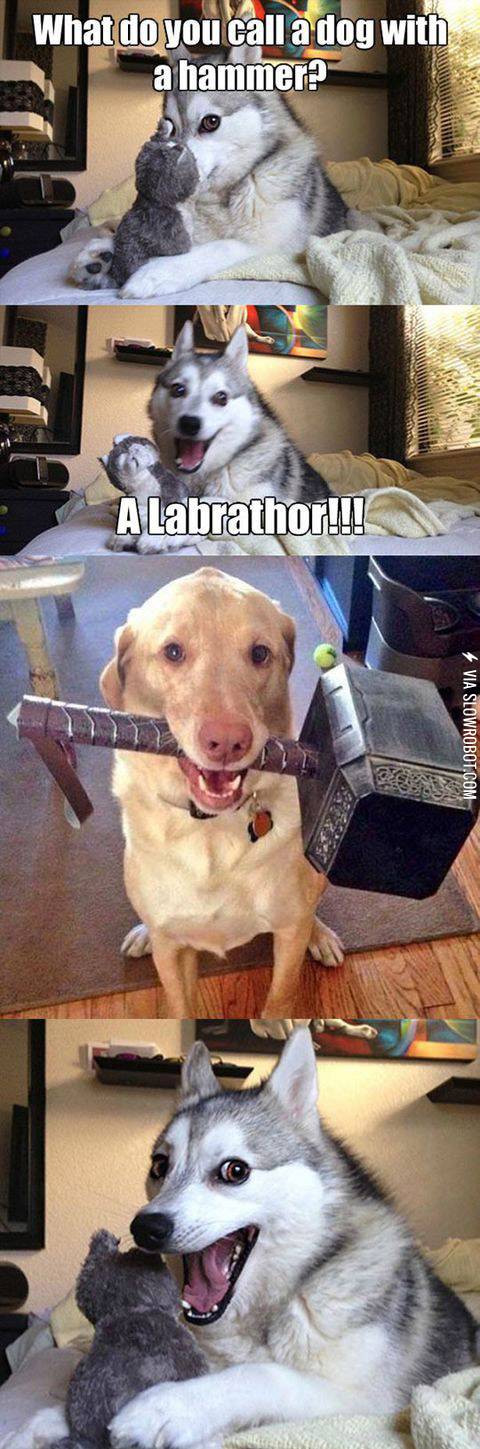 What+do+you+call+a+dog+with+a+hammer%3F