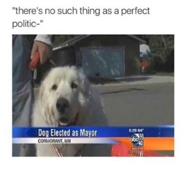 The+perfect+politician