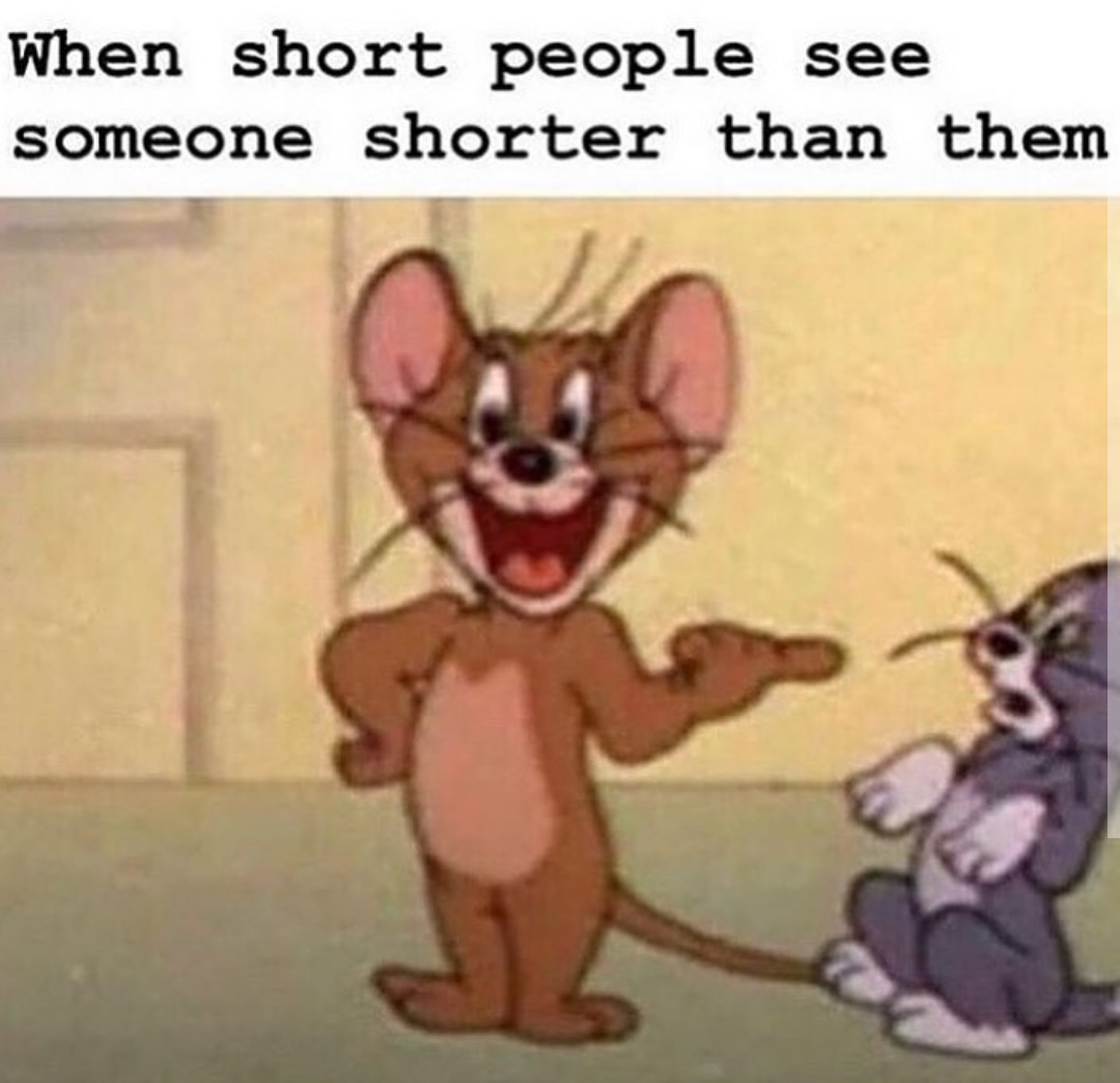 Hah%21+Look+at+this+idiota%21