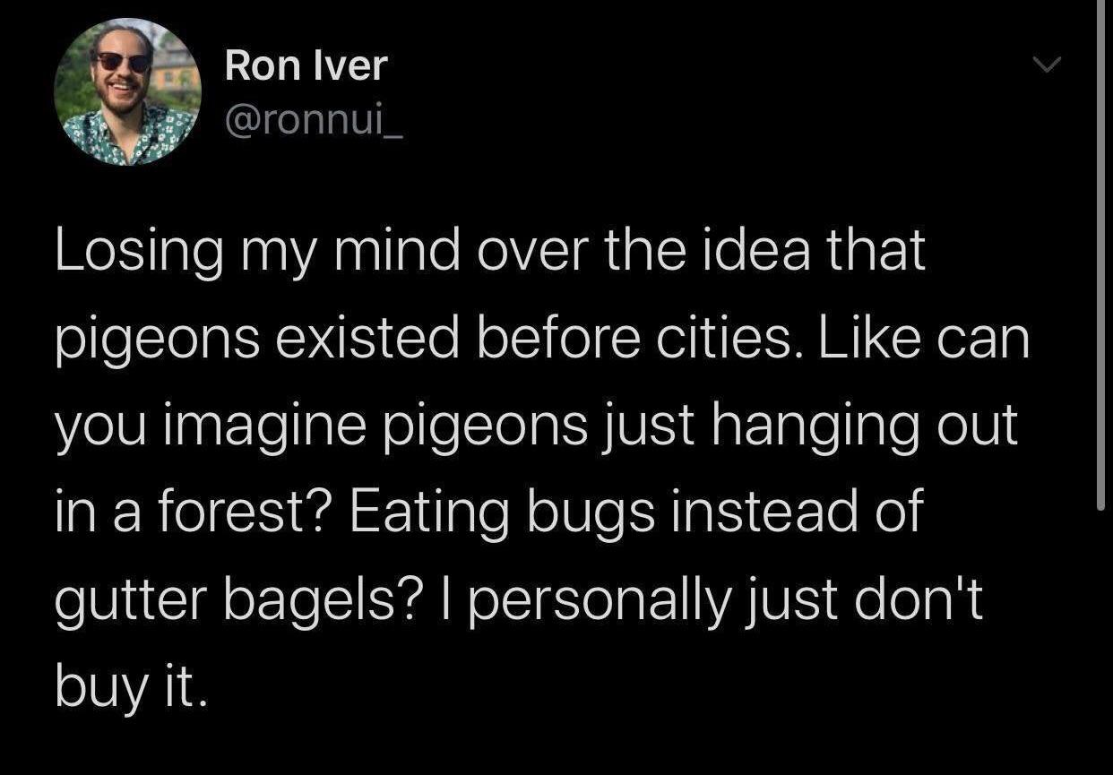 Beware+the+GMO+pigeon.