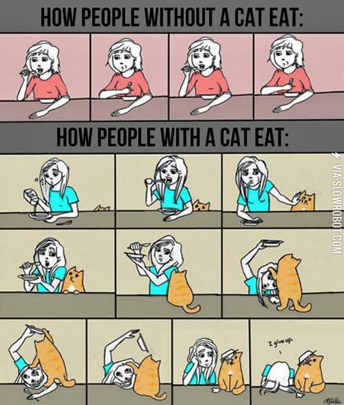 Eating+with+a+cat.