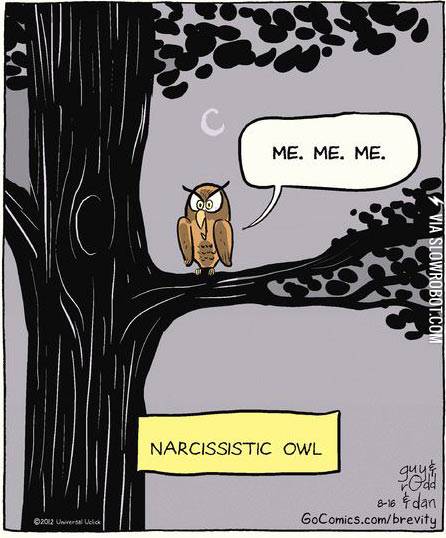 Narcissistic+owl.