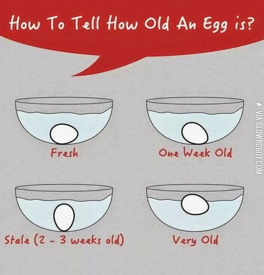 How+to+tell+how+old+an+egg+is.