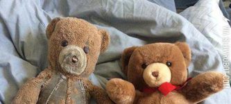 Two+teddy+bears%2C+30+years+later