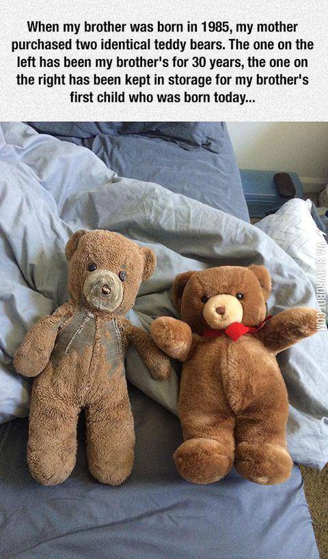 Two+teddy+bears%2C+30+years+later