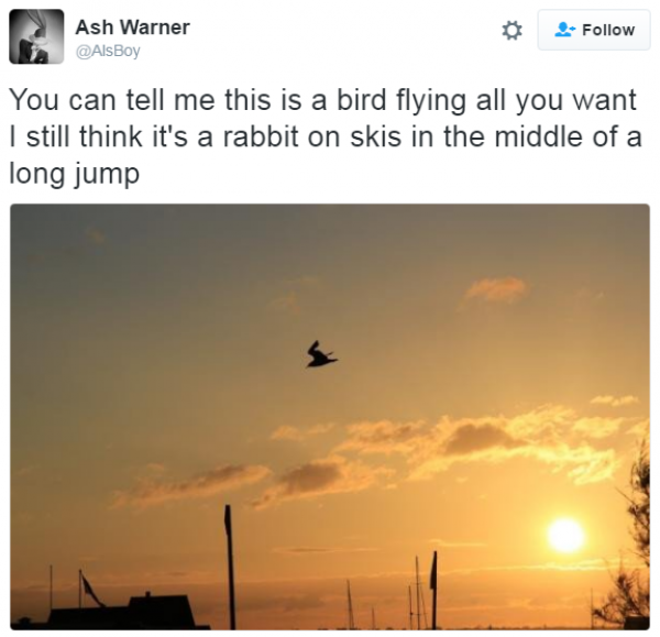 A+rabbit+on+skis